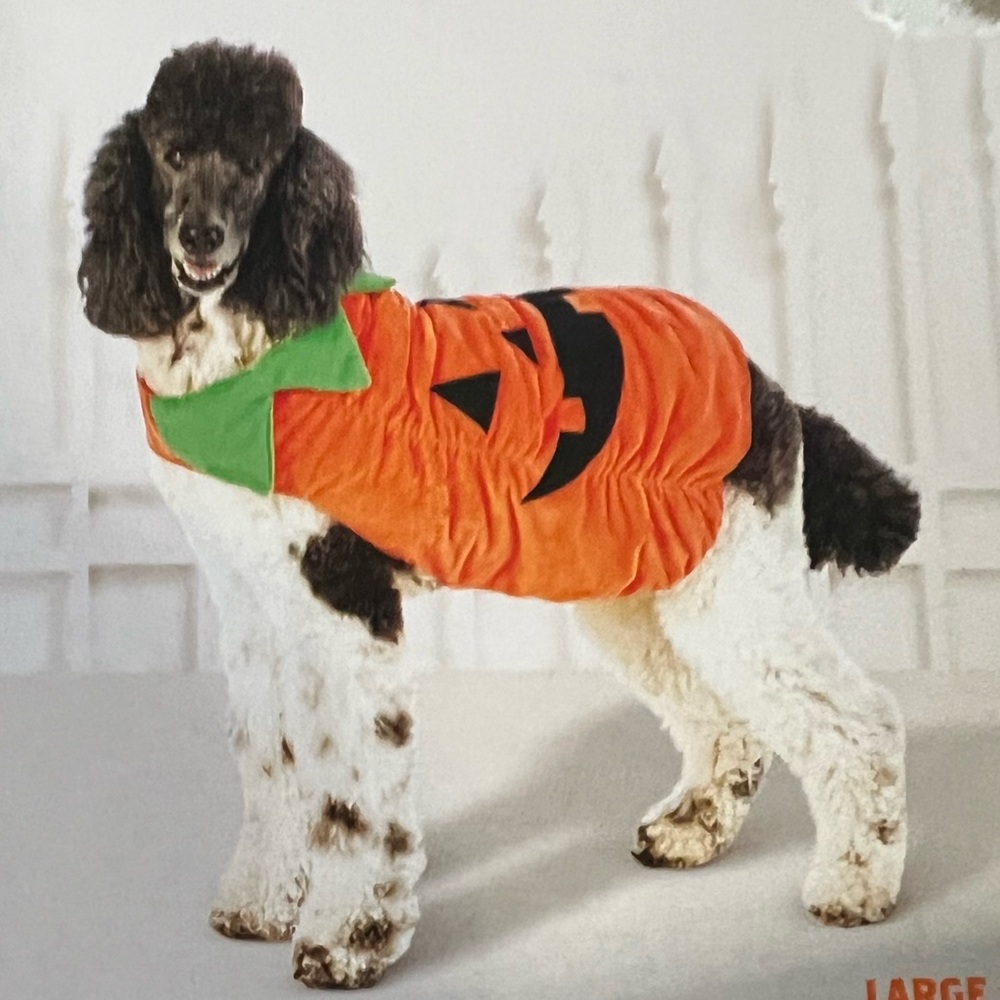 NWT Pet Pumpking Halloween Costumes Size Large see measurements for fit in photo